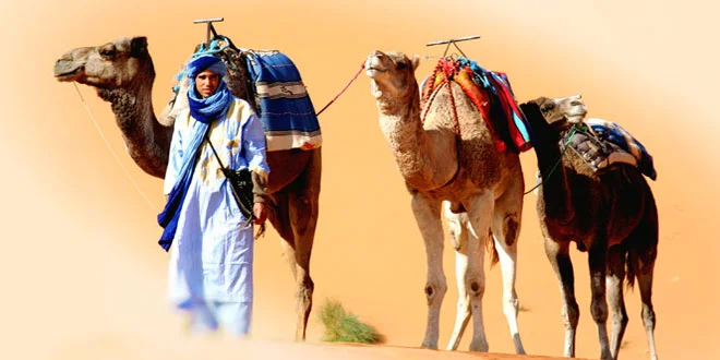 Désert Merzouga